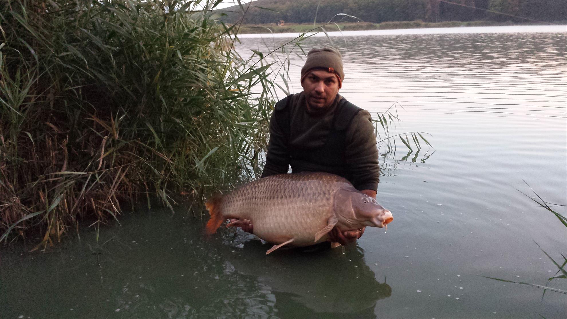 Harsany 2014 - 20141015064727.jpg